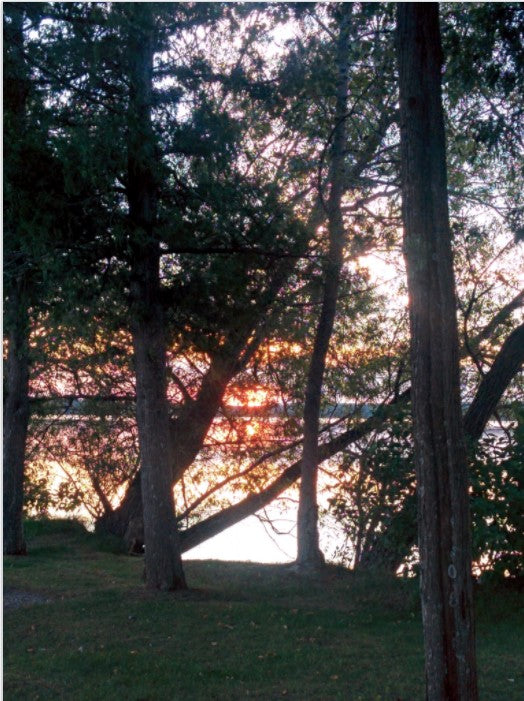 All the Parts are in Conversation with Each Other: