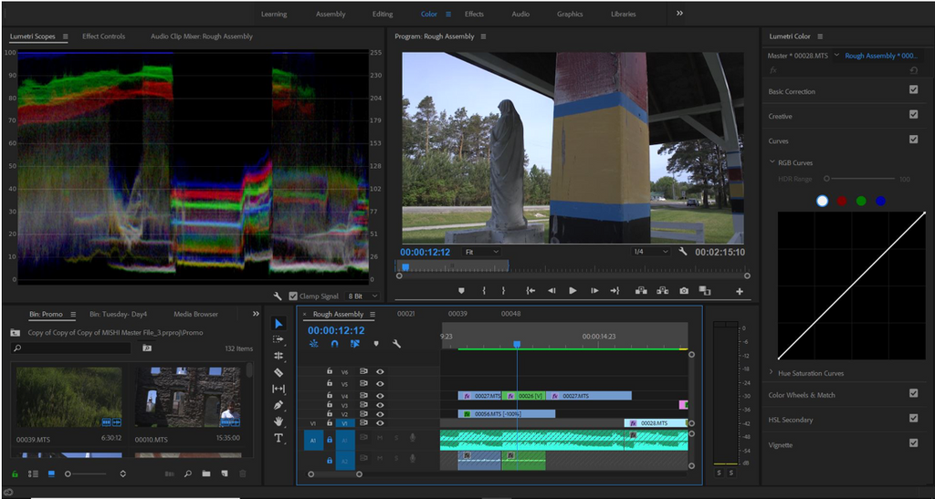 Mtig bemaadzid / The Living Tree: Digital Archiving Through Film at MISHI