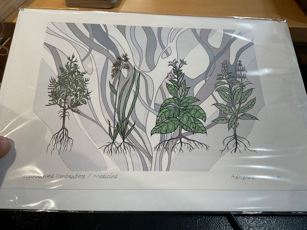 Aanjinaawad ombaabate / medicine cards