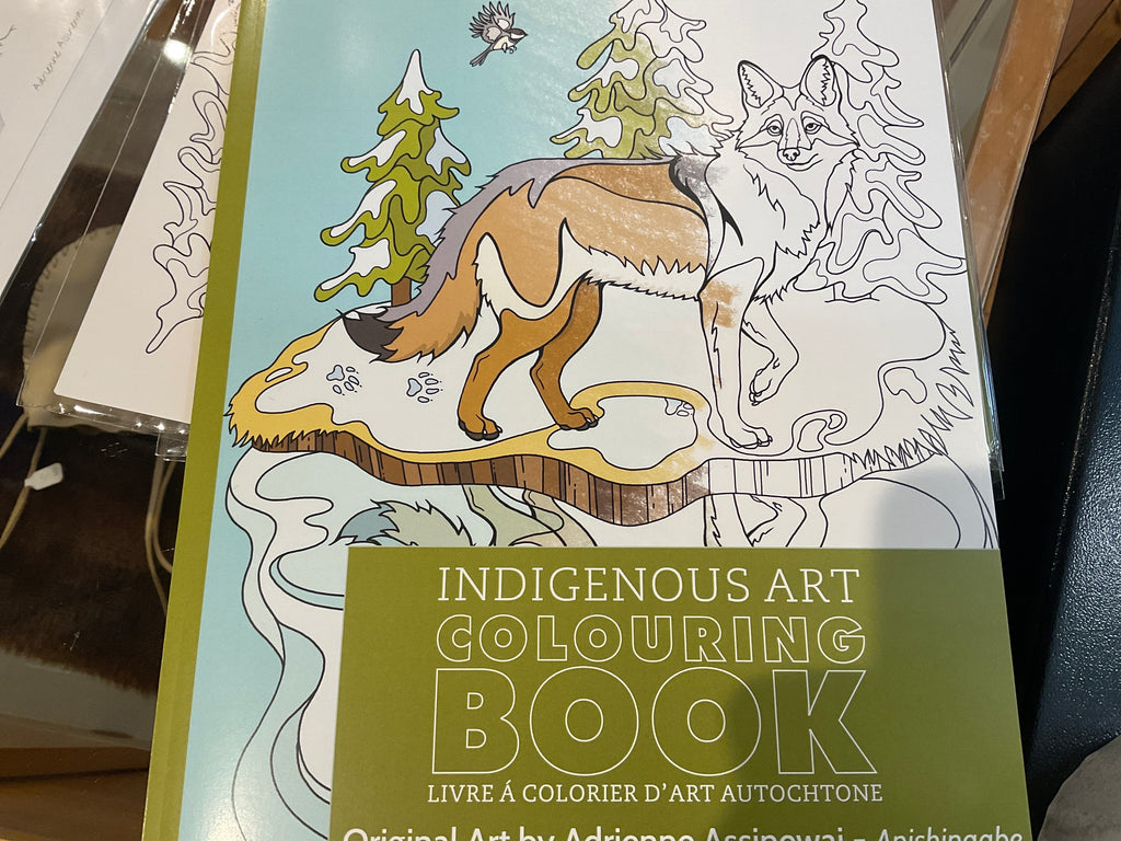 Indigenous Art Colouring Book